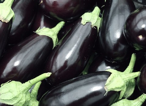 قیمت بادمجان سیاه گلخانه ای شیراز + خرید باور نکردنی